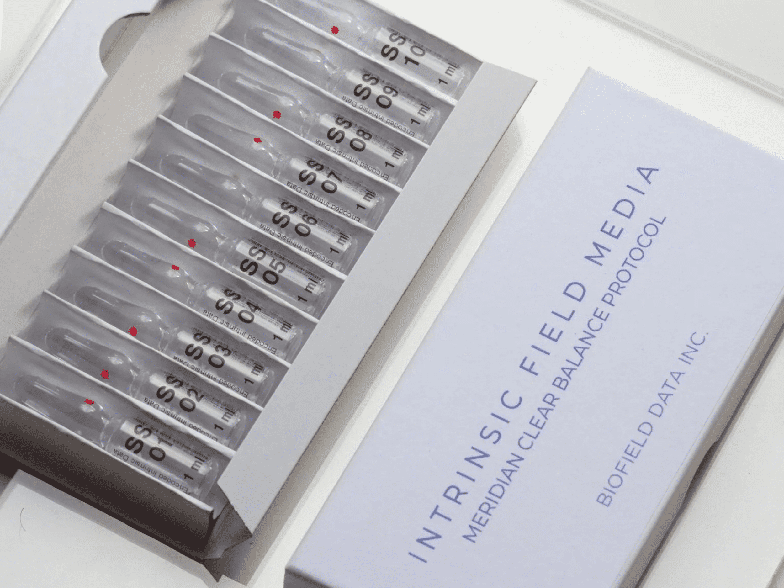 Seasonal Support Protocol (Autumn 2025)