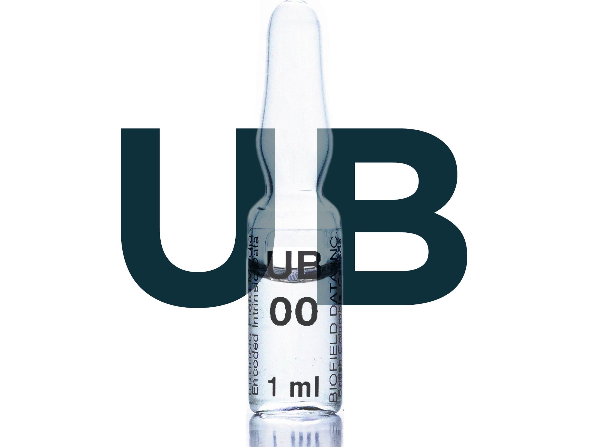 Urinary Bladder Meridian